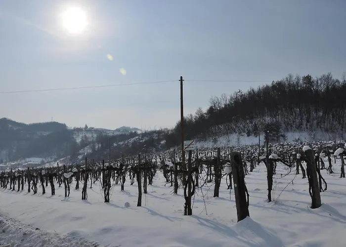 Tenuta Antica